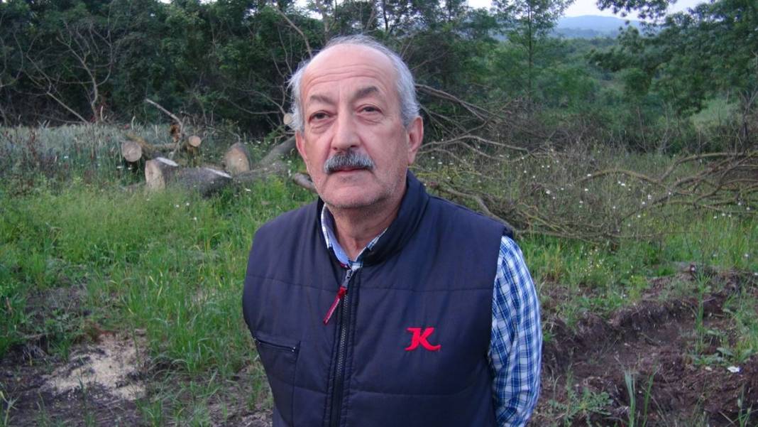 150 yıllık çınar ağaçlarını öyle bir paraya satmak için çaldılar ki pes! Bu kadar vicdansızlık olmaz... 11